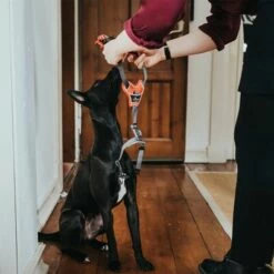 HUNTER Tuigje Divo, Rood/grijs -Hunter Verkoop 2024 212948 214597 214598 212949 212951 hunter geschirr divo rotgrau hs 15 4