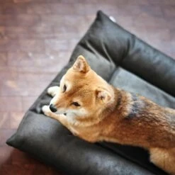 HUNTER Hondenmand Bologna, Zwart -Hunter Verkoop 2024 214699 214700 hunter hundebett bologna schwarz hs 09 2