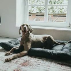 HUNTER Hondenmand Bologna, Zwart -Hunter Verkoop 2024 214699 214700 hunter hundebett bologna schwarz hs 10 8