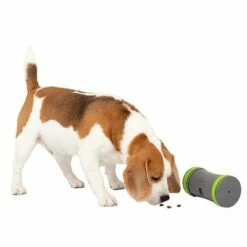 PetSafe Kibble Chase Zelfbewegend Beloningsspeelgoed -Hunter Verkoop 2024 215613 radiosystems petsafe kibble chase selbstbewegendes belohnungsspielzeug hs 04 0