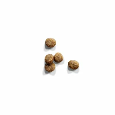 IAMS Pro Active Health Kitten & Junior 5 IAMS Pro Active Health Kitten & Junior - Afbeelding 3