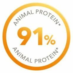 IAMS Pro Active Health Kitten & Junior 9 IAMS Pro Active Health Kitten & Junior -Hunter Verkoop 2024 2191 iams proactive kittenjunior protein 5