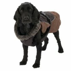 Hondenjas Grizzly II -Hunter Verkoop 2024 222270 hundemantel grizzly ii 32 3