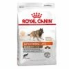 Royal Canin Sporting Life Energy Trail 4300 Hondenvoer 1 Royal Canin Sporting Life Energy Trail 4300 Hondenvoer -Hunter Verkoop 2024 224396 pla royalcanin specialclub energytrail 4300 15kg hs 01 1