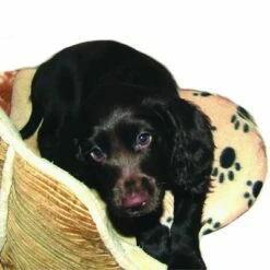 Warmtekussen "SnuggleSafe" 15 Warmtekussen "SnuggleSafe" -Hunter Verkoop 2024 22802 snugglesafe heizkissen f r haustiere hs dog 1