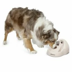 Petmate Fresh Flow Deluxe Drinkfontein 3 L -Hunter Verkoop 2024 23406 petmate fresh flow deluxe creme hs 02 9