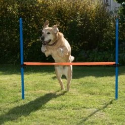 Agility Fun & Sport Springring -Hunter Verkoop 2024 23799 agility fun sport huerde fg 10 9