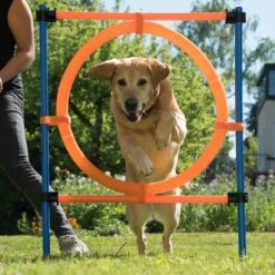 Agility Fun & Sport Springring -Hunter Verkoop 2024 23800 agility fun sport sprungring fg 12 8