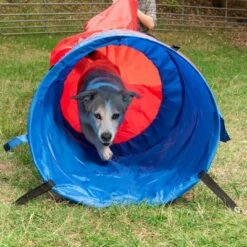Agility Fun & Sport Zaktunnel -Hunter Verkoop 2024 23801 sacktunnel agility fg 18 1