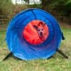 Agility Fun & Sport Zaktunnel -Hunter Verkoop 2024 23801 sacktunnel agility fg 19 8