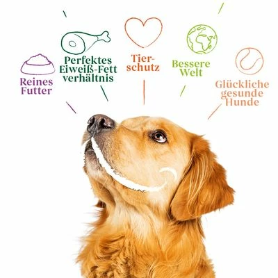 Yarrah Bio Hondenvoer Paté Met Bio Kip 4 Yarrah Bio Hondenvoer Paté Met Bio Kip - Afbeelding 2