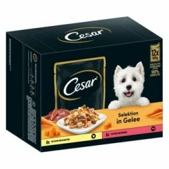 Cesar Selectie Vlees En Groenten In Gelei