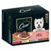 Cesar Selectie Vlees En Groente In Saus 1 Cesar Selectie Vlees En Groente In Saus -Hunter Verkoop 2024 251096 mars cesar selektion fleisch gemuese sauce 12x100g hs 04 3