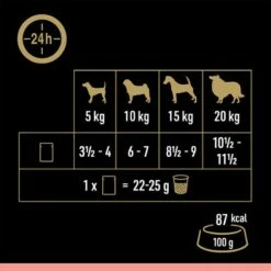 Cesar Selectie Vlees En Groente In Saus -Hunter Verkoop 2024 251096 mars cesar selektion fleisch gemuese sauce 12x100g hs 08 9