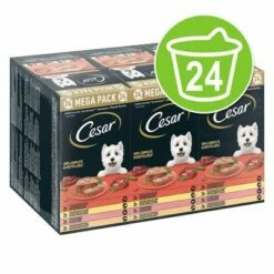 Megapak Cesar Kuipjes 24 X 150 G Hondenvoer
