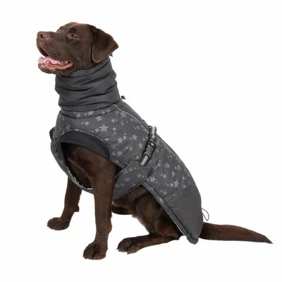 Hondenjas Reflecting Stars 9 Hondenjas Reflecting Stars - Afbeelding 7