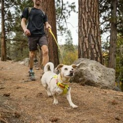 RUFFWEAR Hi & Light Leash -Hunter Verkoop 2024 262501 accapi ruffwear hi light leash lichengreen hs 10 2