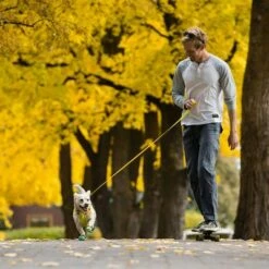 RUFFWEAR Hi & Light Leash -Hunter Verkoop 2024 262501 accapi ruffwear hi light leash lichengreen hs 13 5