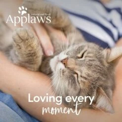 Applaws Kip & Zalm Kattenvoer -Hunter Verkoop 2024 26663 applaws cat adult huhnlachs 400g hs 07 4