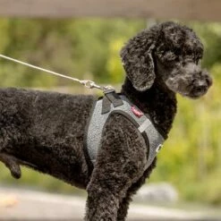 Curli Extreem Sterke Zaklijn -Hunter Verkoop 2024 267896 267897 ultrastarke taschenleine hs 05 3