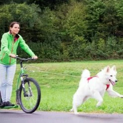 Curli Extreem Sterke Zaklijn -Hunter Verkoop 2024 267896 267897 ultrastarke taschenleine hs 07 2