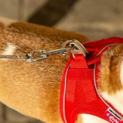 Curli Extreem Sterke Zaklijn -Hunter Verkoop 2024 267896 267897 ultrastarke taschenleine hs 10 7