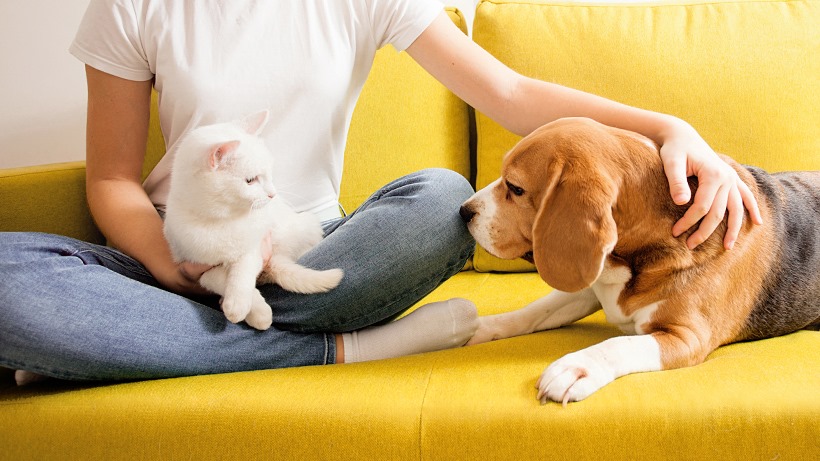 Hunter Verkoop 2024 -Hunter Verkoop 2024 277779075 387739533356794 1807663038272938248 n