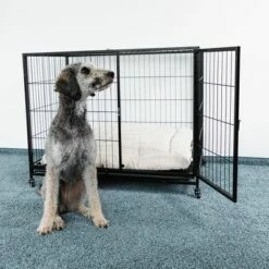 HAFENBANDE Kamerbench Cabin -Hunter Verkoop 2024 280405 waagenschmitt hafenbande zimmerkaefig cabin hs 06 9