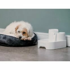 CAT MATE Closer Pets Drinkfontein - 2 Liter -Hunter Verkoop 2024 281596 closer pets trinkbrunnen 2 liter hs 21 5