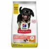 Hill's Science Plan Medium Puppy Perfect Digestion Hondenvoer -Hunter Verkoop 2024 284843 pla hills scienceplan medium puppy perfect digestion 14kg hs 01 4