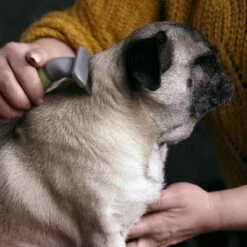 Moser Ondervachtkam -Hunter Verkoop 2024 289797 moser unterwollkamm hs 02 4