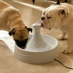 PetSafe® Drinkwell® Drinkfontein 360 -Hunter Verkoop 2024 29078 PLA Drinkwell Trinkbrunnen Drinkwell360 2