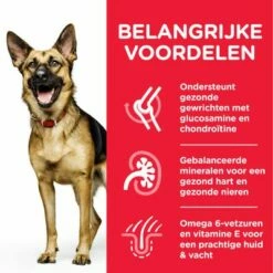 Hill's Science Plan Mature Adult Large Breed Met Kip 10 Hill's Science Plan Mature Adult Large Breed Met Kip -Hunter Verkoop 2024 2 atf8 604371 key benefits 1