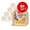 RINTI Lichte Buit 9 X 300 G -Hunter Verkoop 2024 310396 finnern rinti leichtebeute huhn 9x300g hs 01 6