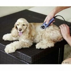 Oster Huisdierentondeuse-Set 220 V -Hunter Verkoop 2024 314320 oster heimtierschermaschinenset hund 08 2012 5