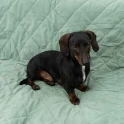 Modern Living Hondendeken Victoria -Hunter Verkoop 2024 318002 decke victoria fg 6050 2