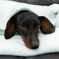 Modern Living Hondendeken Victoria -Hunter Verkoop 2024 318002 decke victoria fg 6055 4