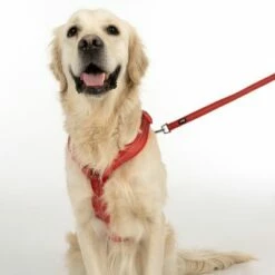 TIAKI Tuig Neopreen, Rood -Hunter Verkoop 2024 323005 neoprene geschirr l fg 1669 5