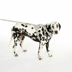 TIAKI Tuig Neopreen, Grijs -Hunter Verkoop 2024 323033 neoprene geschirr l fg 0470 9