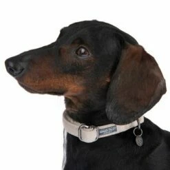 Halsband Nomad Tales Blush, Taupe -Hunter Verkoop 2024 324699 blush s fg 6993 7