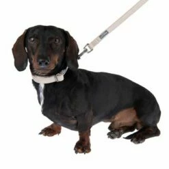 Halsband Nomad Tales Blush, Taupe -Hunter Verkoop 2024 324699 blush s fg 6996 2