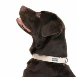 Halsband Nomad Tales Blush, Taupe -Hunter Verkoop 2024 324701 blush l fg 7179 6