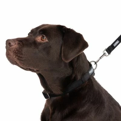 Halsband Nomad Tales Blush, Ebony 19 Halsband Nomad Tales Blush, Ebony - Afbeelding 17