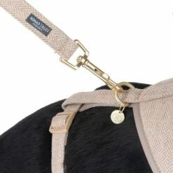 Nomad Tales Calma Hondenriem, Sand 26 Nomad Tales Calma Hondenriem, Sand -Hunter Verkoop 2024 324713 calma fg 7811 0