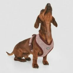 Nomad Tales Calma Tuig, Burgundy -Hunter Verkoop 2024 324717 nomad tales calma burgundy 02 4