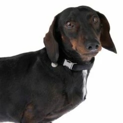 Halsband Nomad Tales Blush, Ebony 28 Halsband Nomad Tales Blush, Ebony -Hunter Verkoop 2024 324897 blush s fg 7023 5