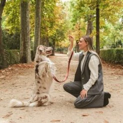 Hondenriem Nomad Tales Blush, Rosé 21 Hondenriem Nomad Tales Blush, Rosé -Hunter Verkoop 2024 325600 325601 nomadtales blush hundeleine rose hs 07 4