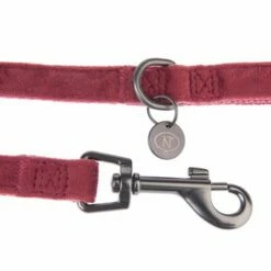 Hondenriem Nomad Tales Blush, Rosé 23 Hondenriem Nomad Tales Blush, Rosé -Hunter Verkoop 2024 325600 nomad tales blush hundeleine rose fg 1406 5