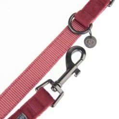 Hondenriem Nomad Tales Blush, Rosé 26 Hondenriem Nomad Tales Blush, Rosé -Hunter Verkoop 2024 325601 nomad tales blush hundeleine rose fg 1398 4