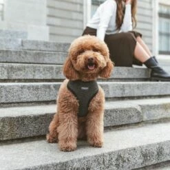 Nomad Tales Calma Tuig, Ebony -Hunter Verkoop 2024 325796 nomad tales calma ebony 01 5